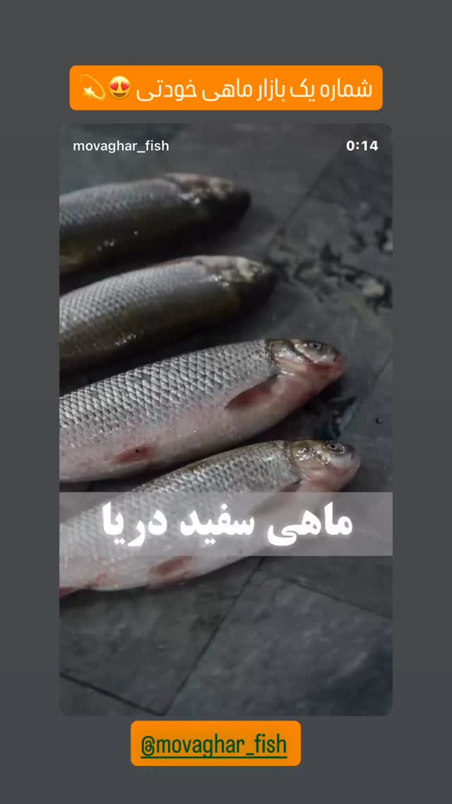  جدید ترین استوری اینستاگرام سهیل کاظمی