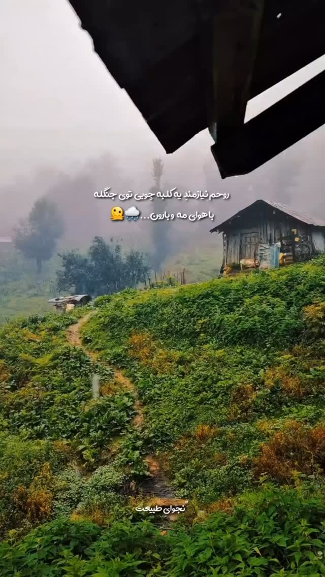  جدید ترین استوری اینستاگرام سهیل کاظمی