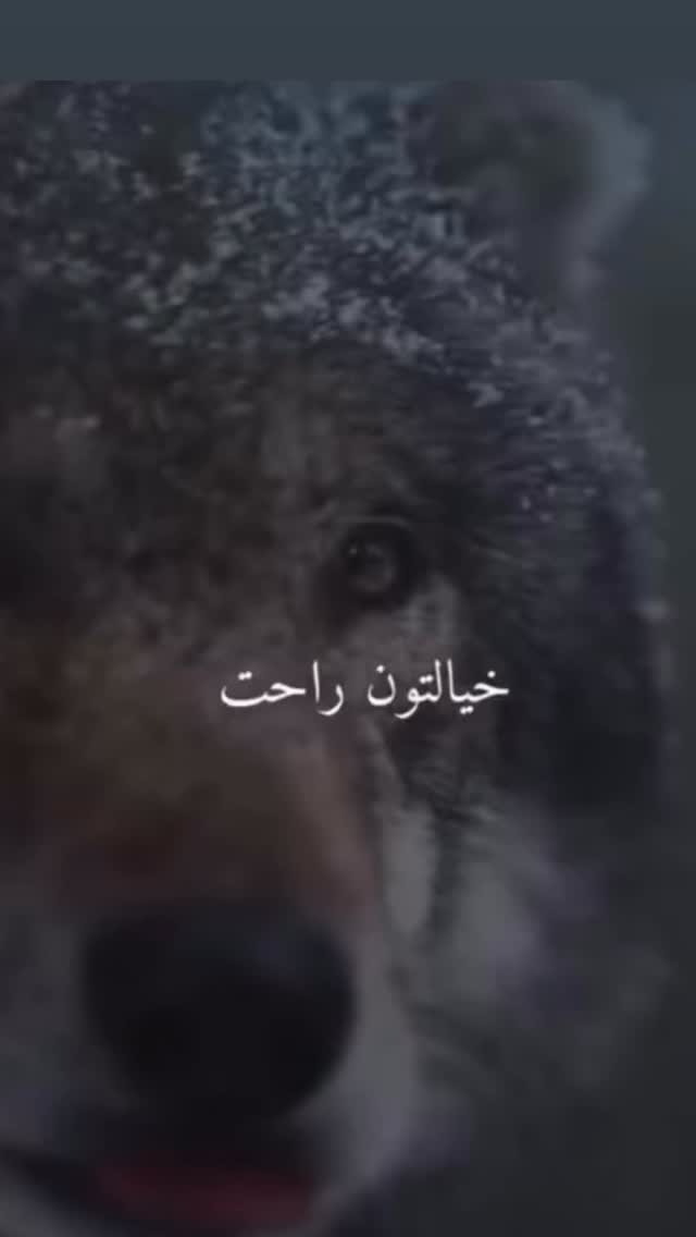  جدید ترین استوری اینستاگرام سهراب رستمی
