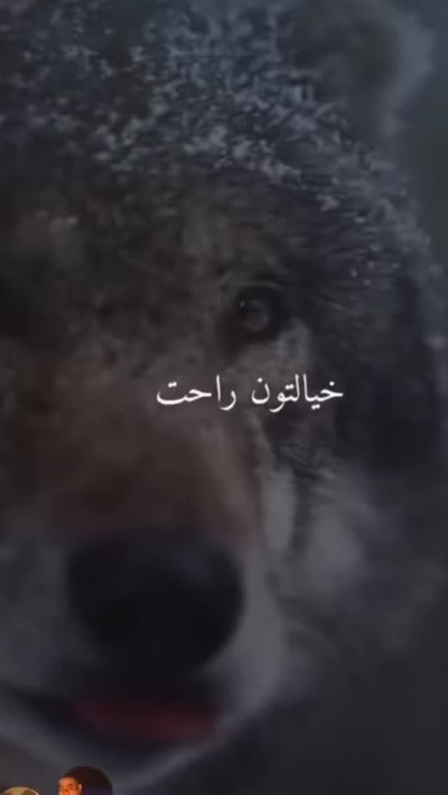  جدید ترین استوری اینستاگرام سهراب رستمی
