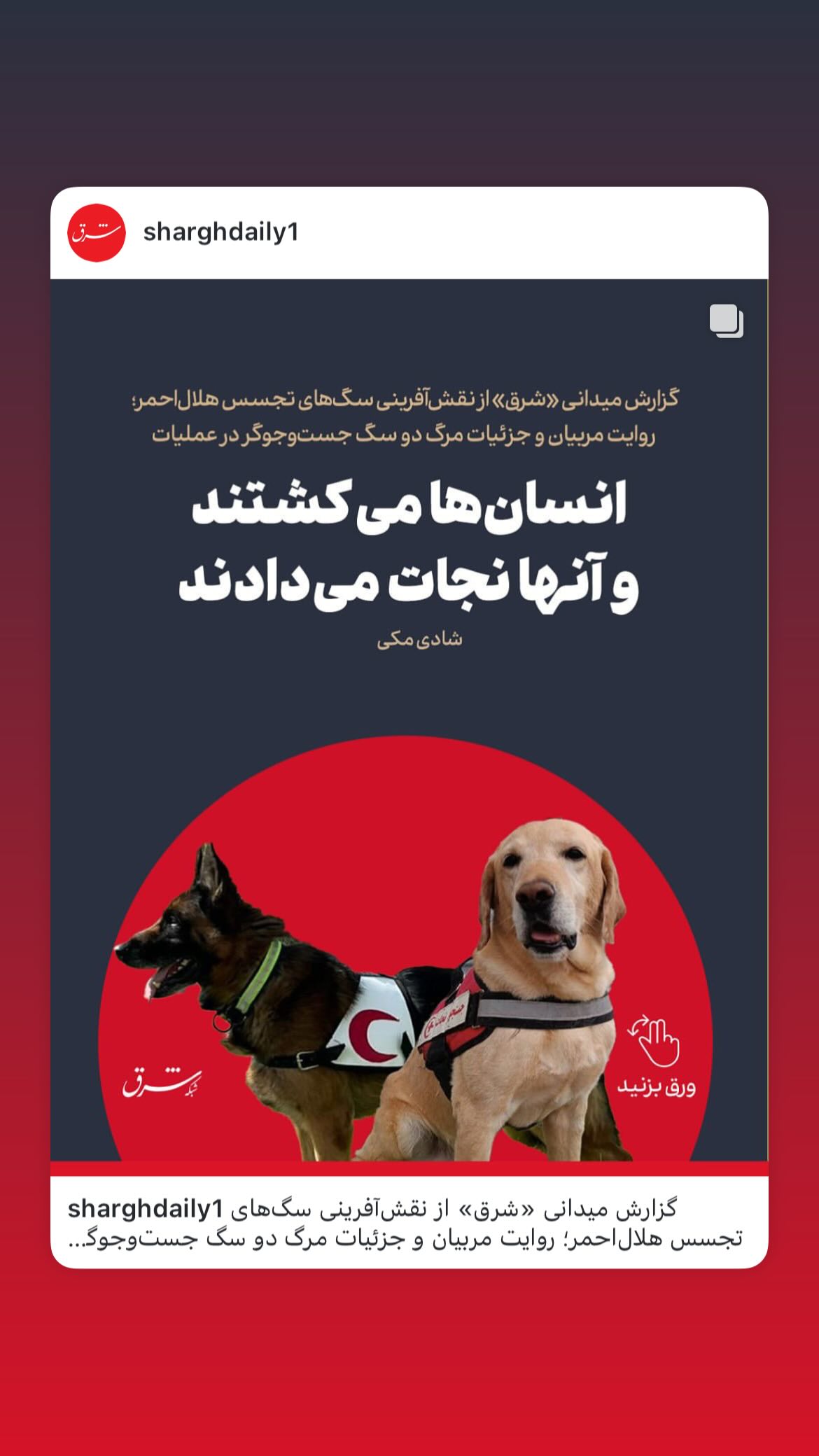  جدید ترین استوری اینستاگرام سلماز غنی