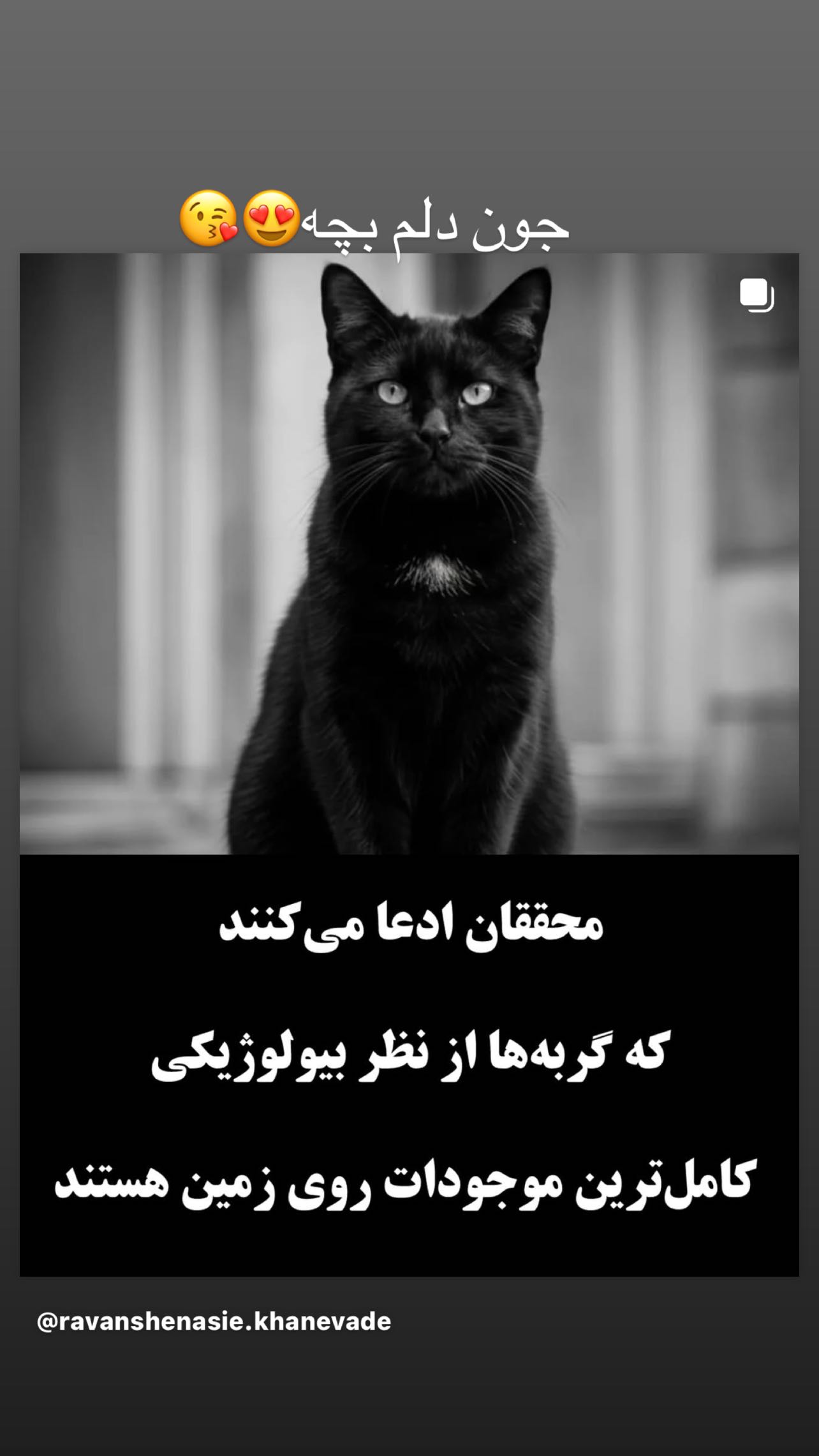  جدید ترین استوری اینستاگرام سمیه قانعی