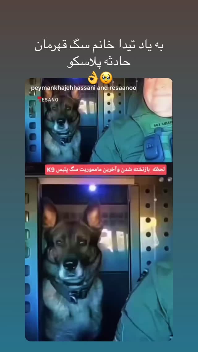  جدید ترین استوری اینستاگرام سمیه قانعی