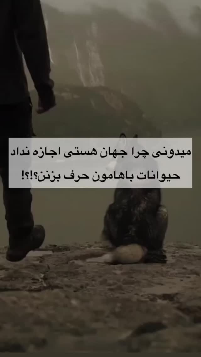  جدید ترین استوری اینستاگرام سمیه قانعی