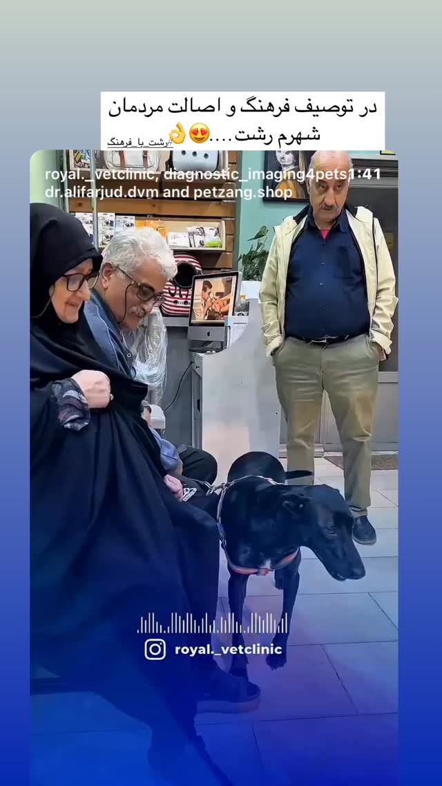  جدید ترین استوری اینستاگرام سمیه قانعی