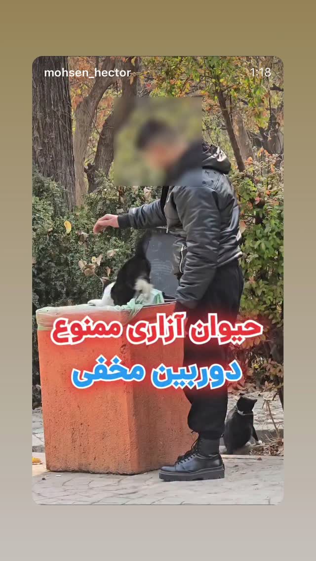  جدید ترین استوری اینستاگرام سمیه قانعی
