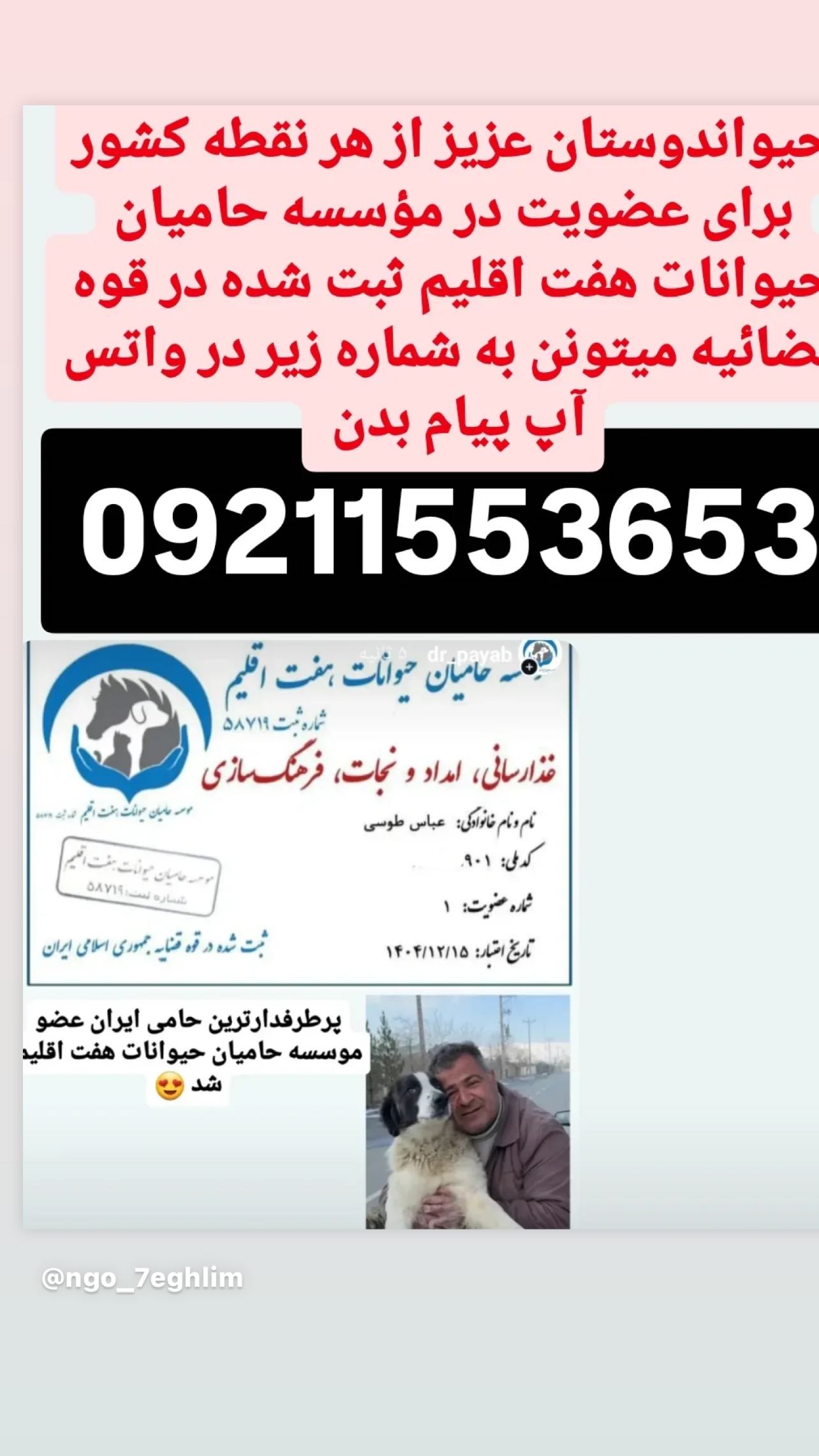  جدید ترین استوری اینستاگرام سمیه قانعی