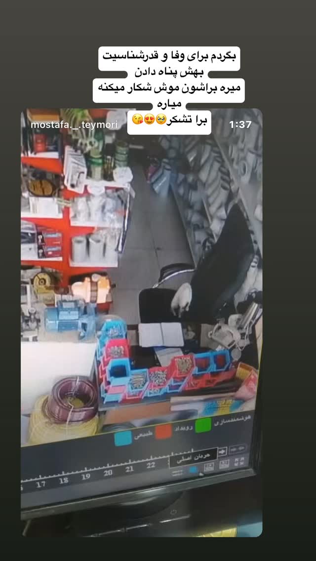  جدید ترین استوری اینستاگرام سمیه قانعی