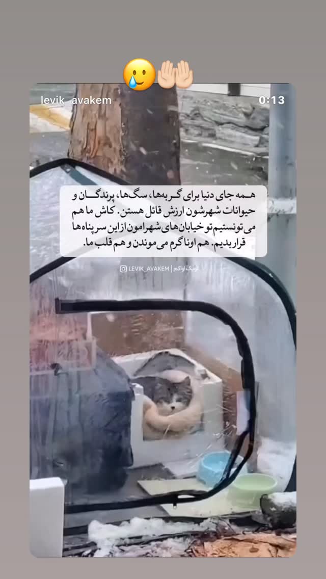  جدید ترین استوری اینستاگرام سمیه قانعی