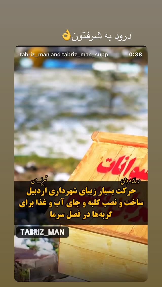  جدید ترین استوری اینستاگرام سمیه قانعی