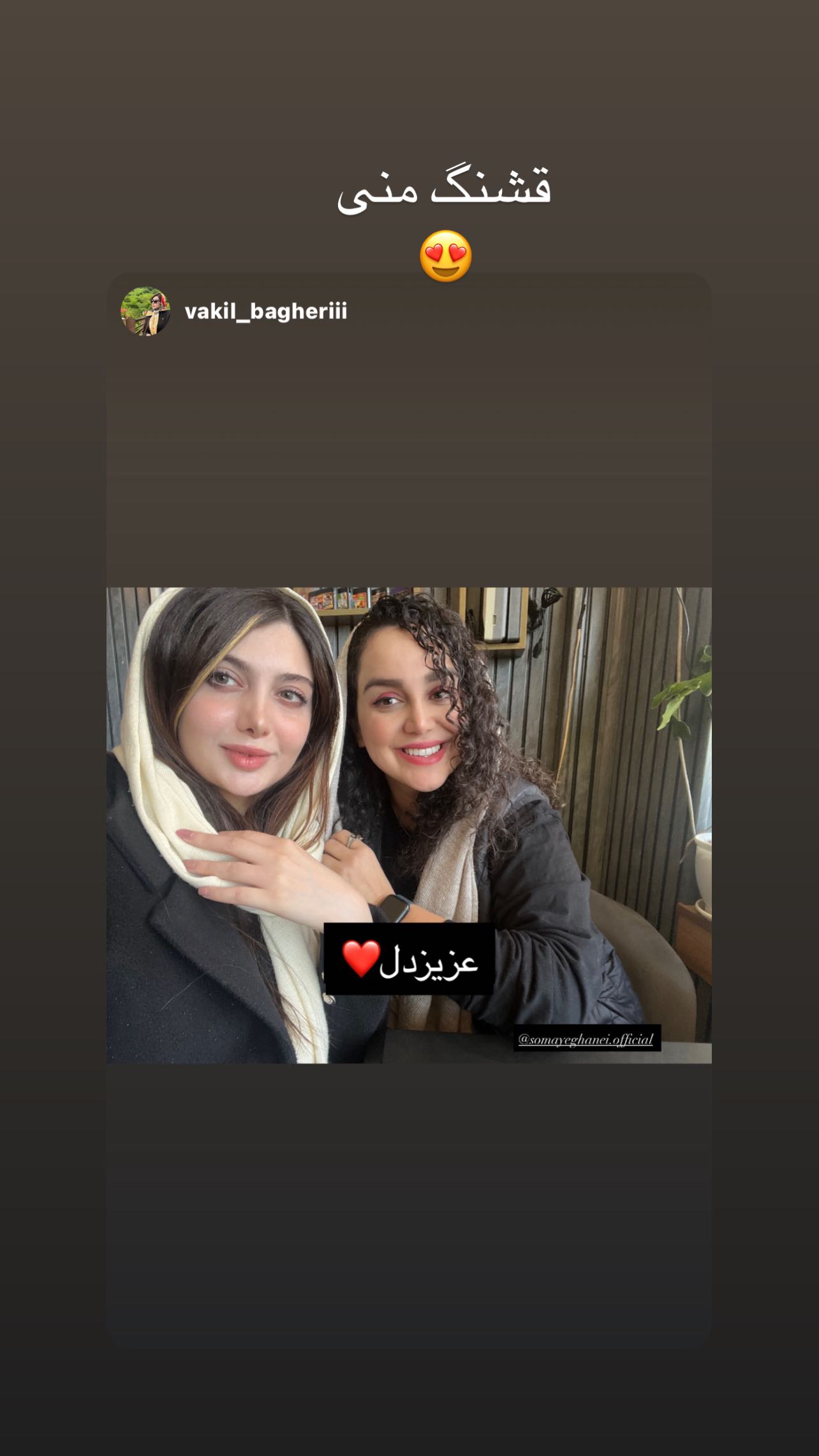  جدید ترین استوری اینستاگرام سمیه قانعی