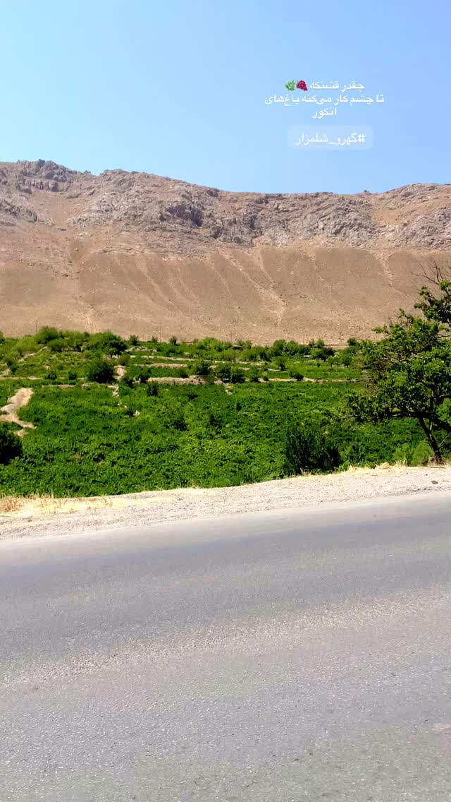  جدید ترین استوری اینستاگرام سمیه یزدانی