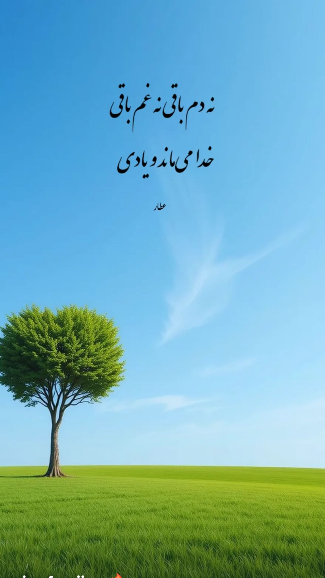  جدید ترین استوری اینستاگرام سونيا پوريامين