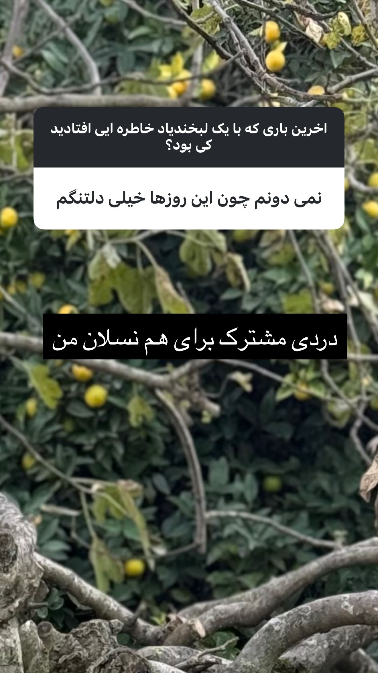  جدید ترین استوری اینستاگرام سونيا پوريامين