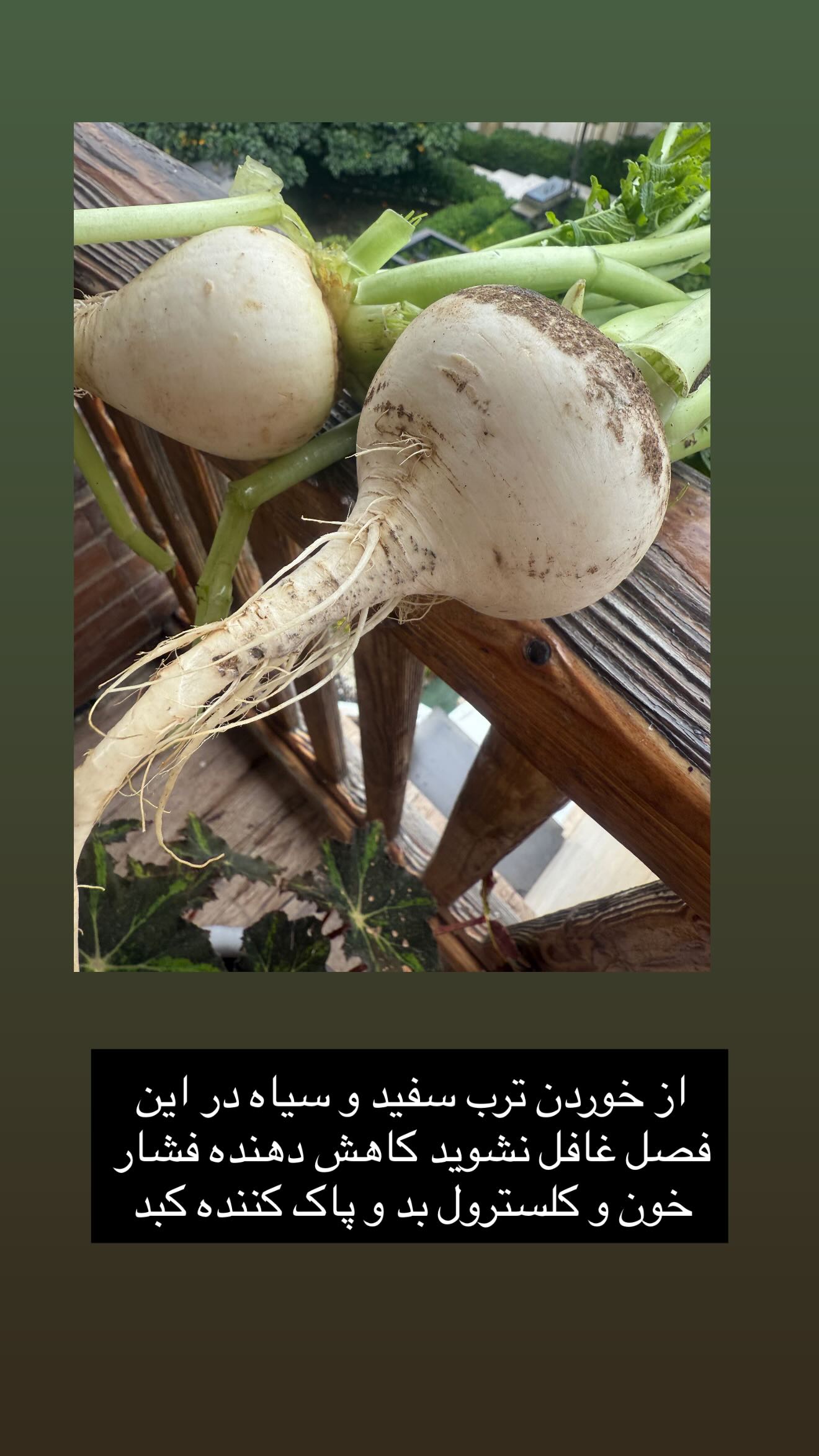  جدید ترین استوری اینستاگرام سونيا پوريامين