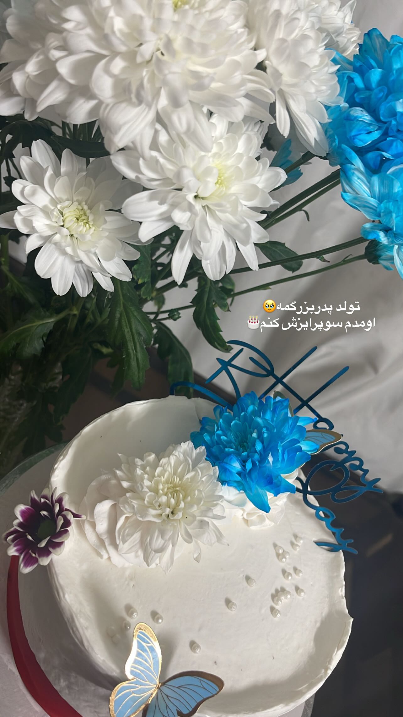  جدید ترین استوری اینستاگرام سونیا