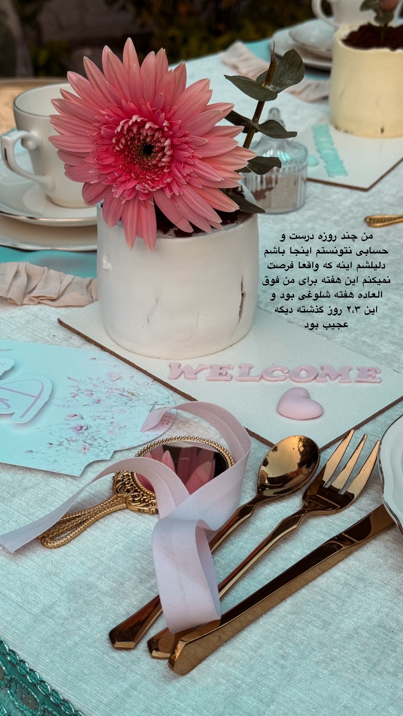  جدید ترین استوری اینستاگرام سوده پارسا