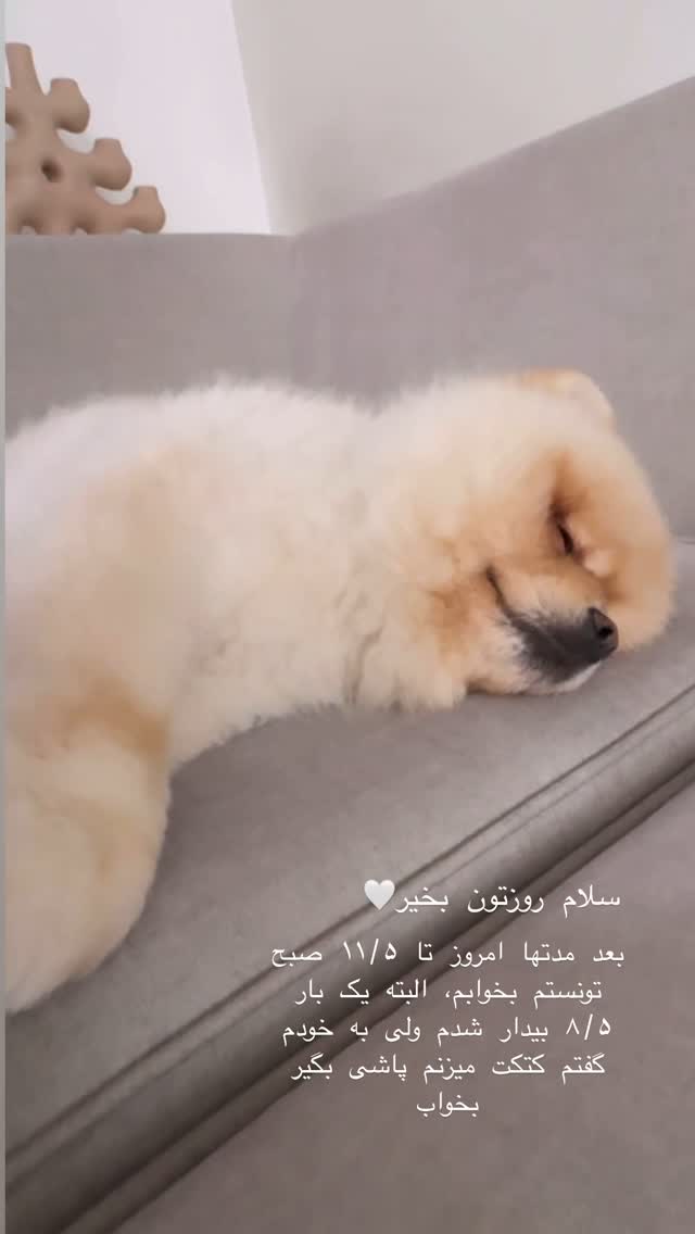  جدید ترین استوری اینستاگرام سوده پارسا