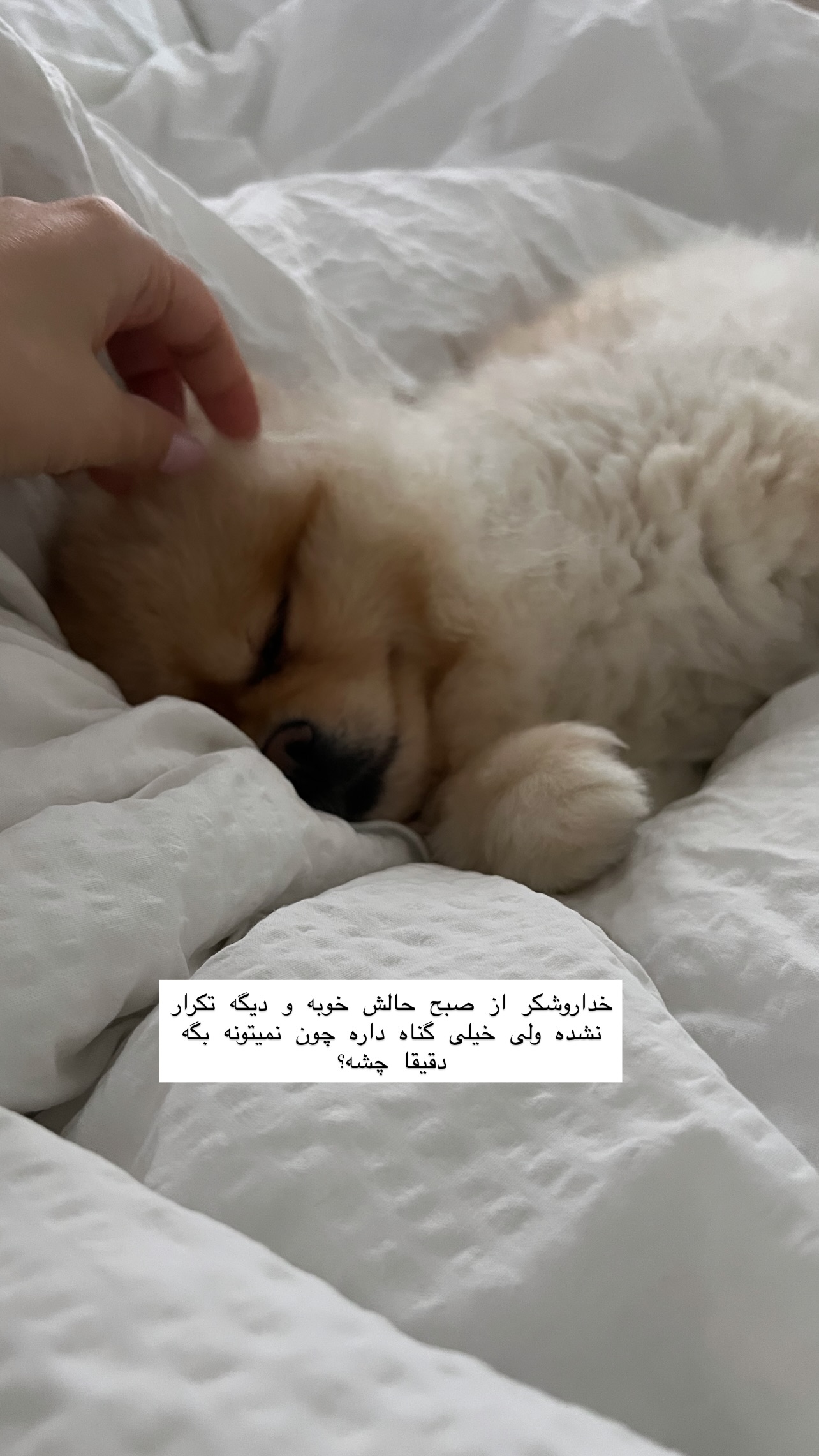  جدید ترین استوری اینستاگرام سوده پارسا