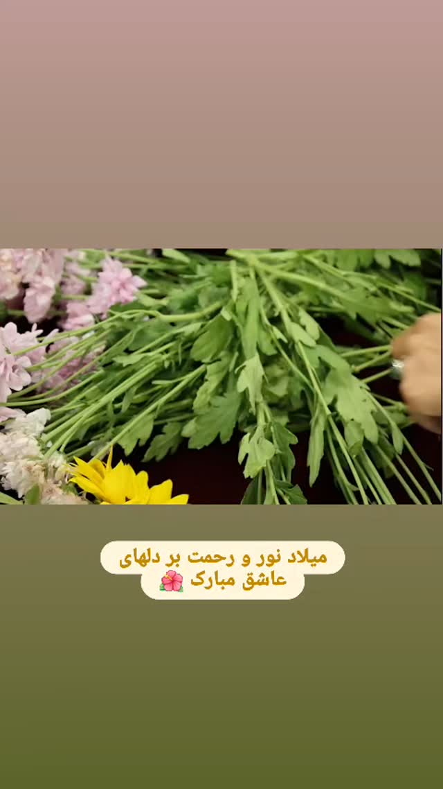  جدید ترین استوری اینستاگرام ثریا فتحیان