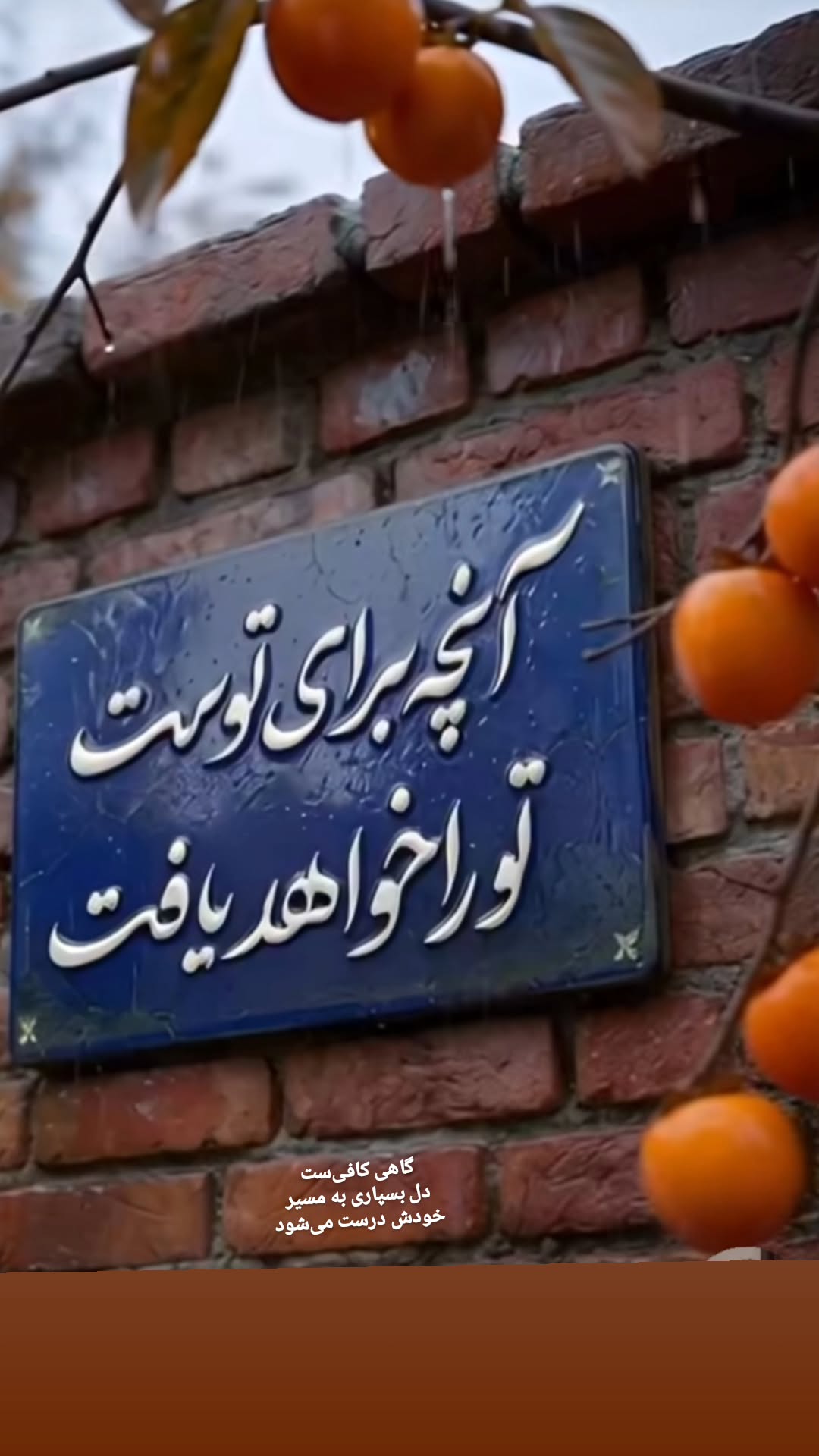  جدید ترین استوری اینستاگرام ثریا فتحیان