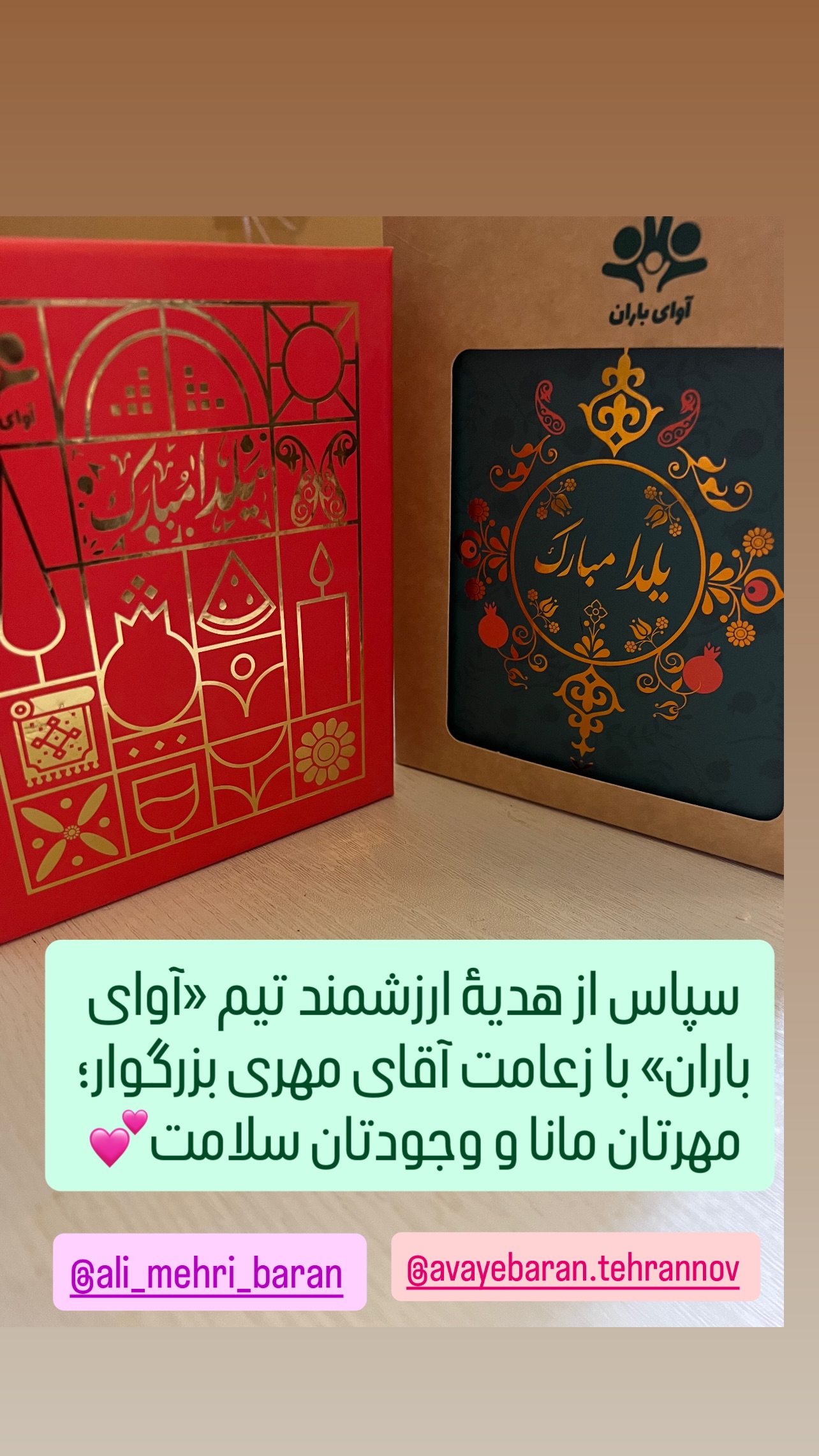  جدید ترین استوری اینستاگرام ثریا علوی نژاد
