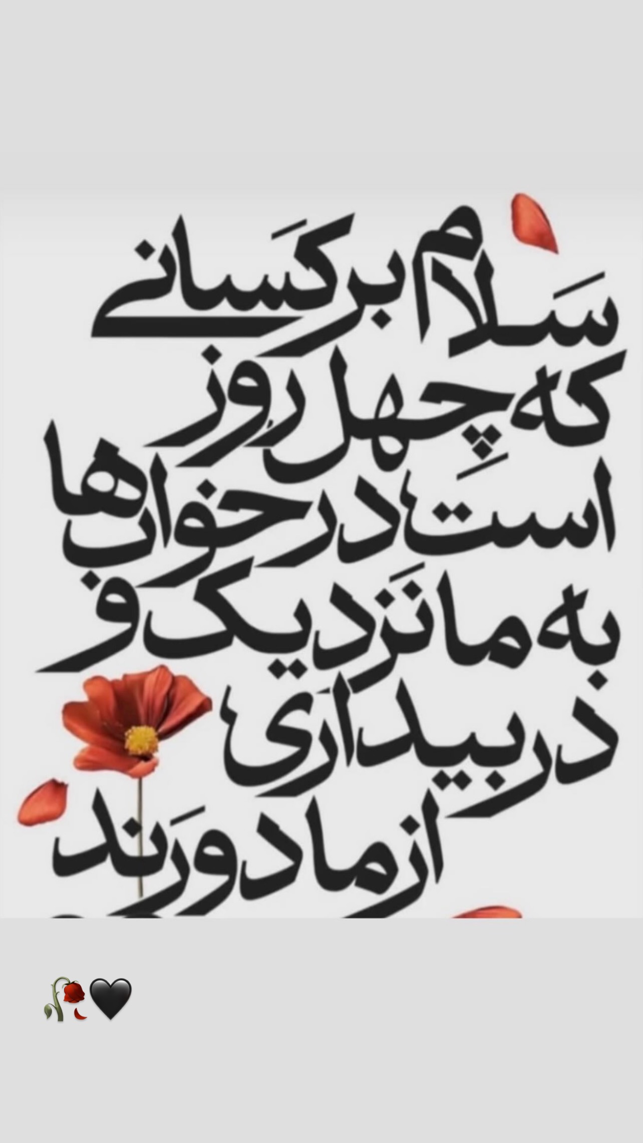  جدید ترین استوری اینستاگرام ثریا علوی نژاد