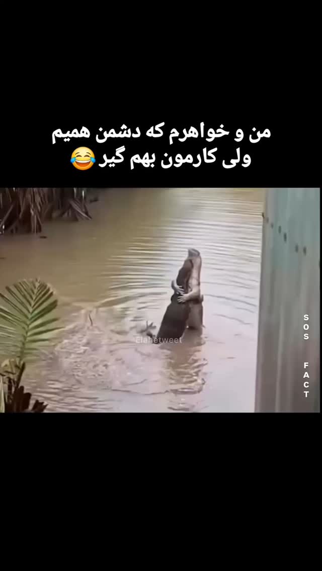  جدید ترین استوری اینستاگرام مهدی سامانی
