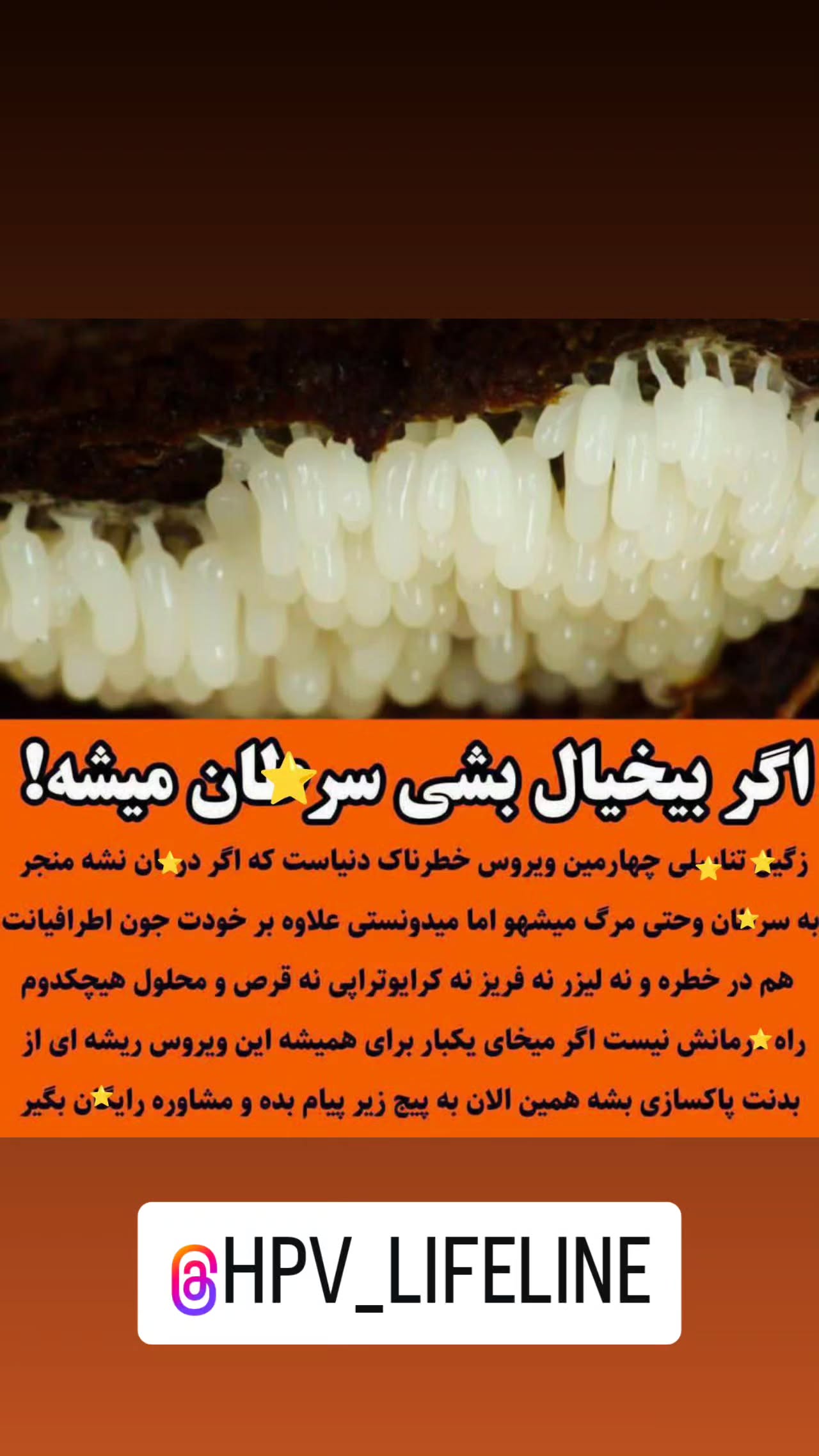  جدید ترین استوری اینستاگرام مهدی سامانی