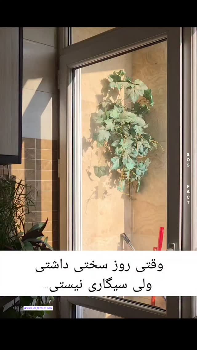  جدید ترین استوری اینستاگرام مهدی سامانی