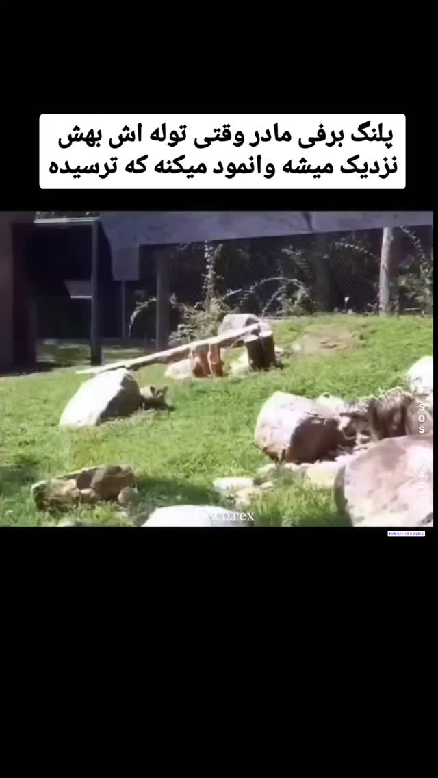  جدید ترین استوری اینستاگرام مهدی سامانی