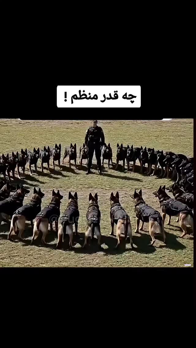  جدید ترین استوری اینستاگرام مهدی سامانی