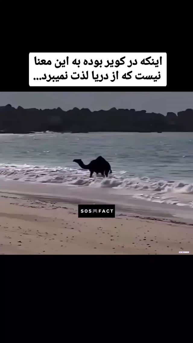  جدید ترین استوری اینستاگرام مهدی سامانی