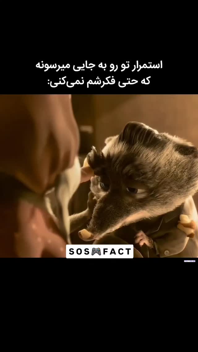  جدید ترین استوری اینستاگرام مهدی سامانی