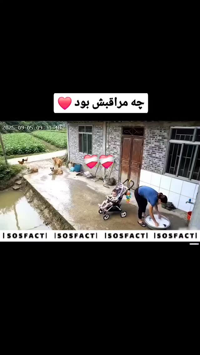  جدید ترین استوری اینستاگرام مهدی سامانی