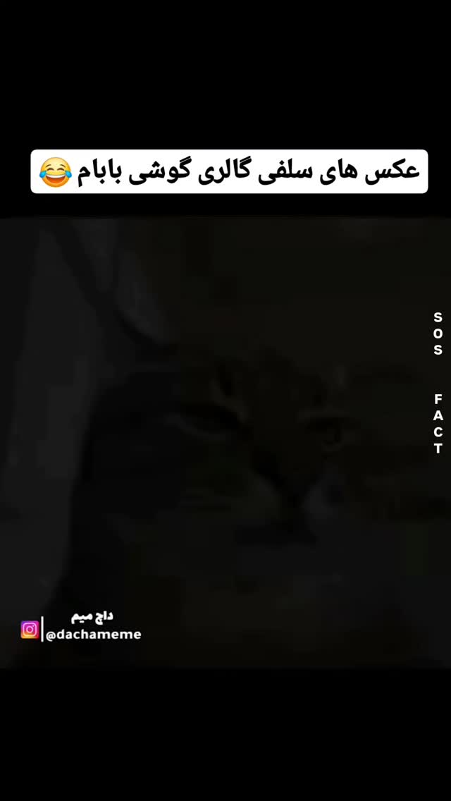  جدید ترین استوری اینستاگرام مهدی سامانی