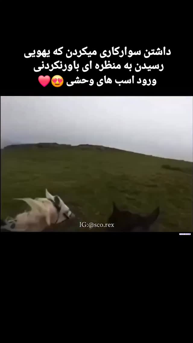  جدید ترین استوری اینستاگرام مهدی سامانی