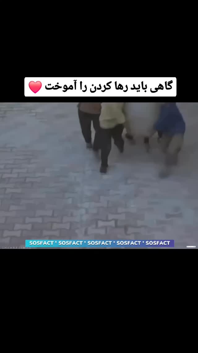  جدید ترین استوری اینستاگرام مهدی سامانی
