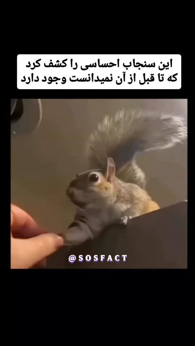  جدید ترین استوری اینستاگرام مهدی سامانی