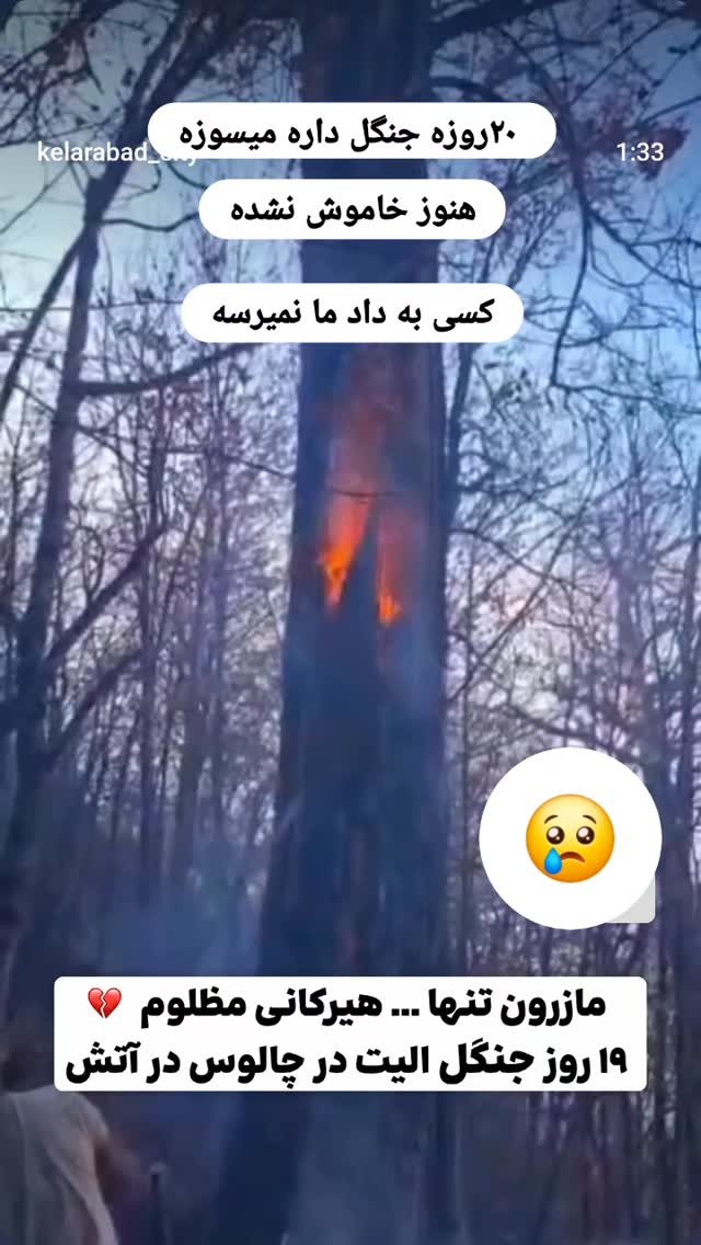  جدید ترین استوری اینستاگرام سودابه باقرپور