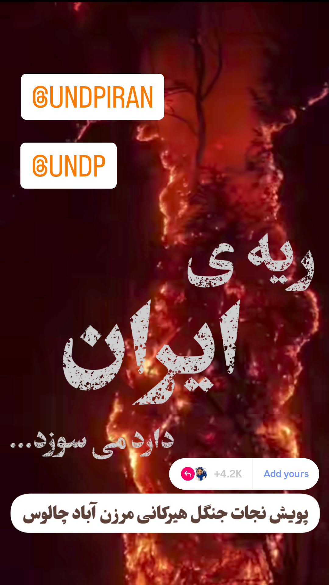  جدید ترین استوری اینستاگرام سودابه باقرپور