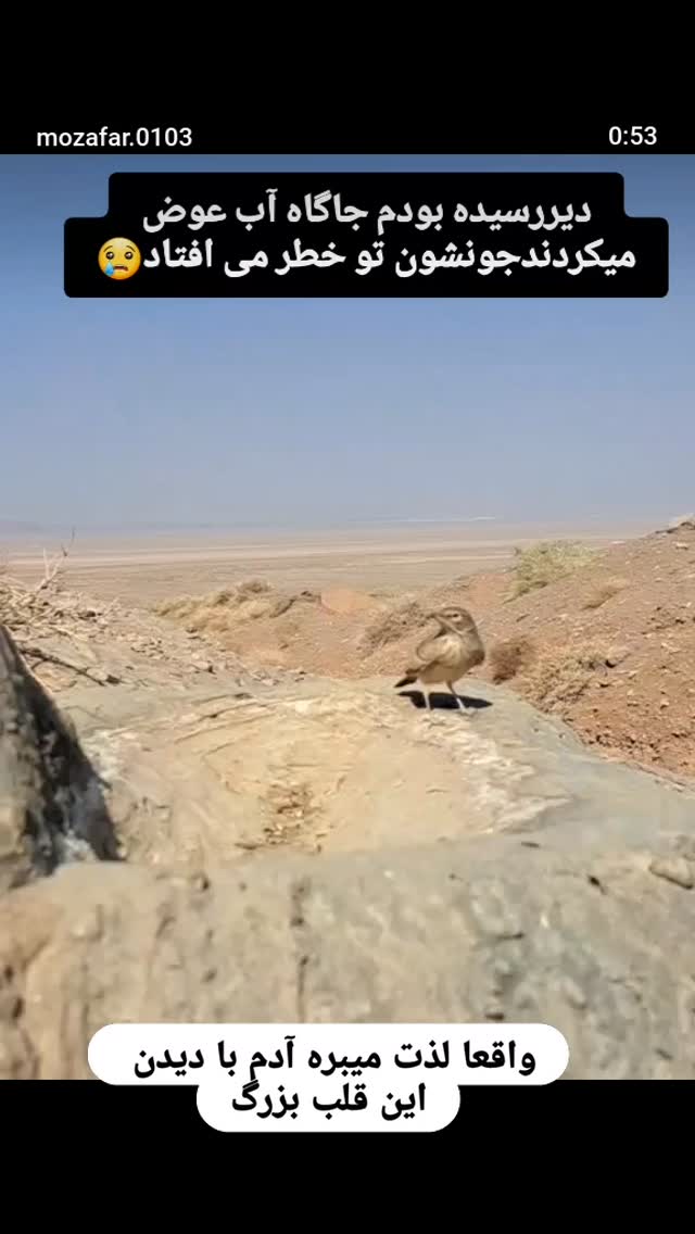  جدید ترین استوری اینستاگرام سودابه باقرپور