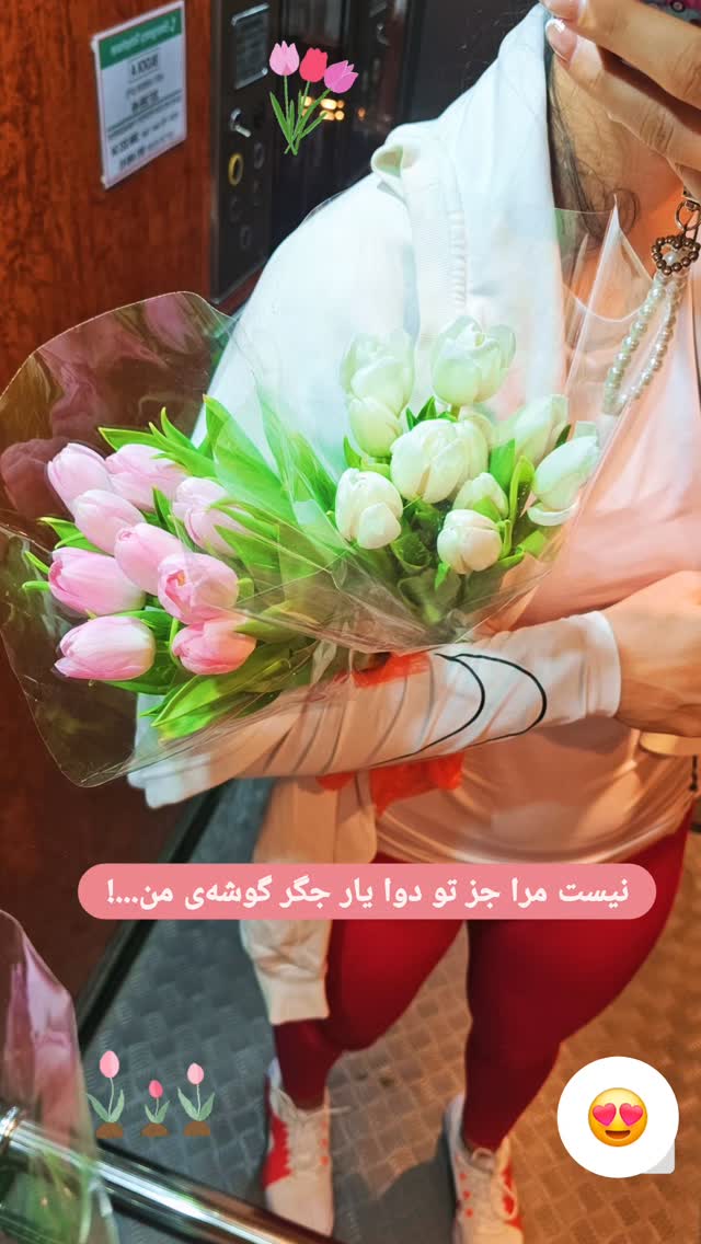  جدید ترین استوری اینستاگرام سودابه باقرپور