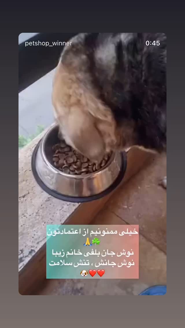  جدید ترین استوری اینستاگرام سوسن پرور