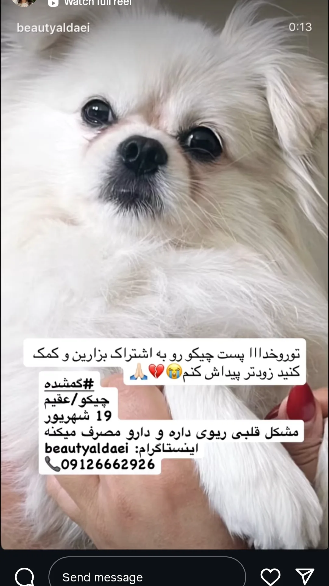  جدید ترین استوری اینستاگرام سوسن پرور