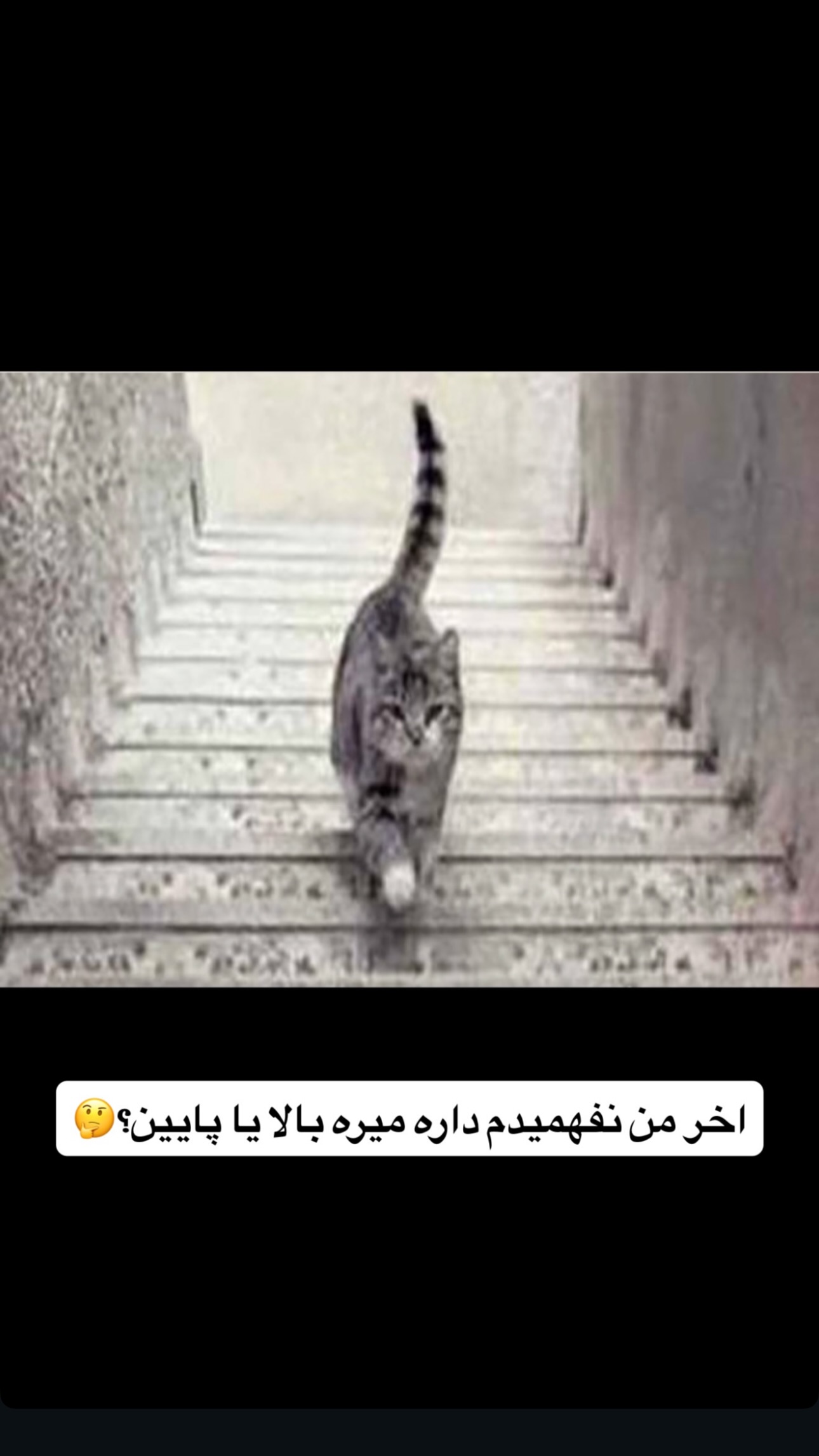  جدید ترین استوری اینستاگرام سید حمید رضا پرهیزگار