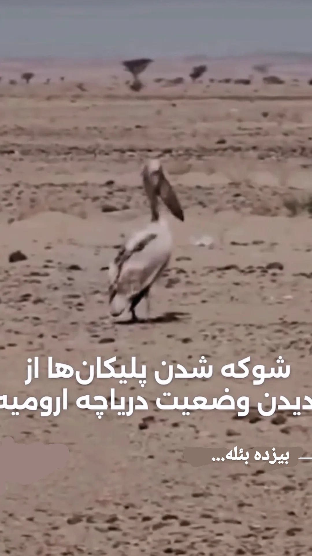  جدید ترین استوری اینستاگرام تبریز وان