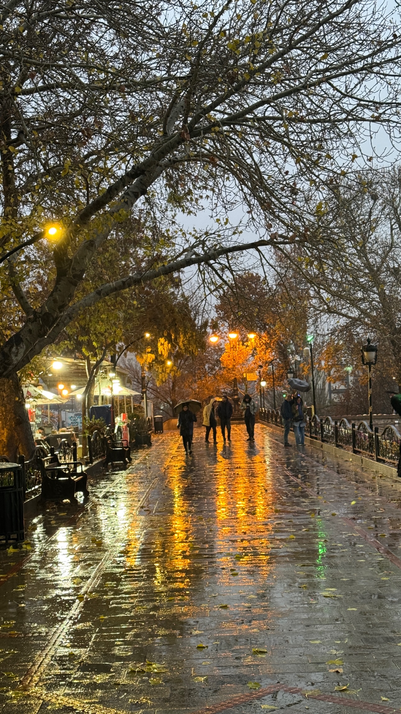  جدید ترین استوری اینستاگرام تبریز وان