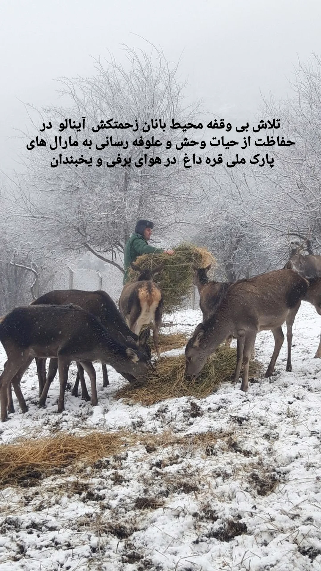  جدید ترین استوری اینستاگرام تبریز وان