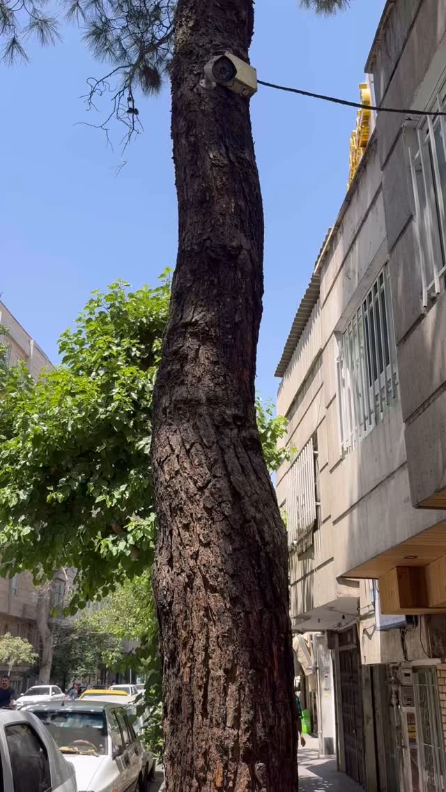  جدید ترین استوری اینستاگرام طاها بذرافشان